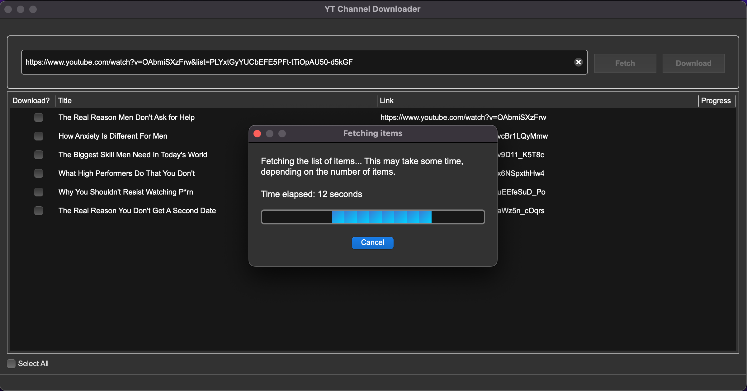 YT Channel Downloader Screenshot (MacOS)
