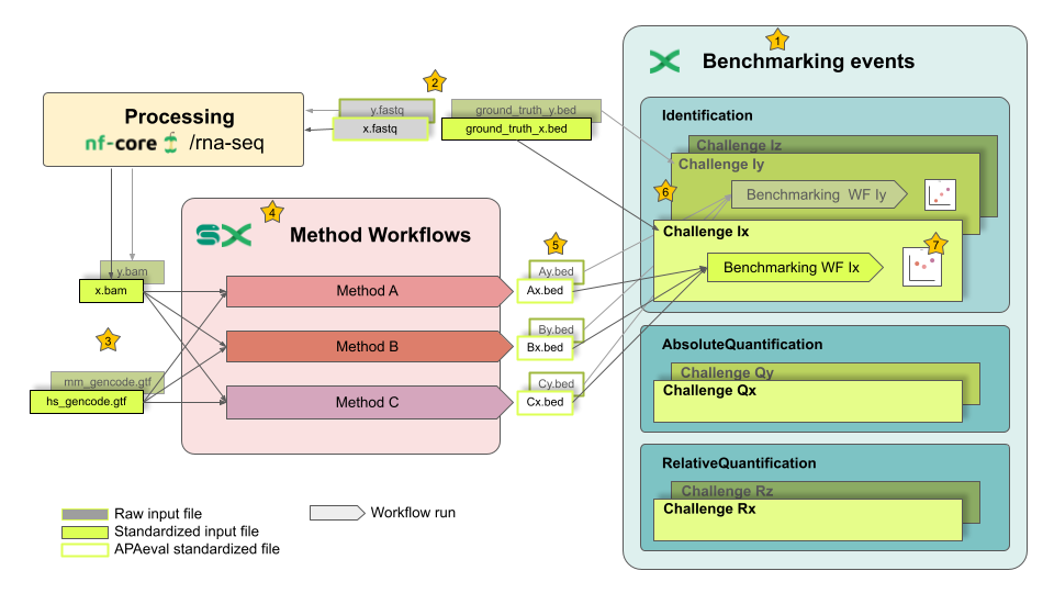 schema