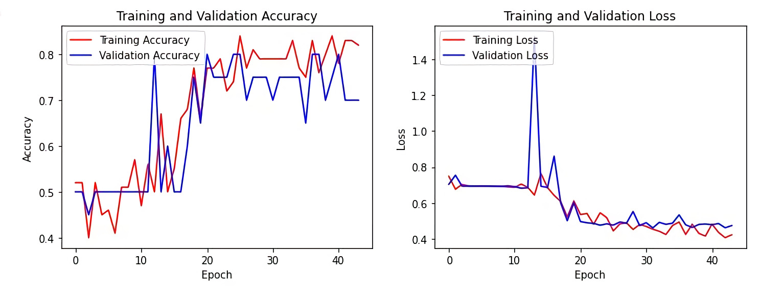 training and loss metrics