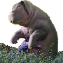 ./emoji/okja.png