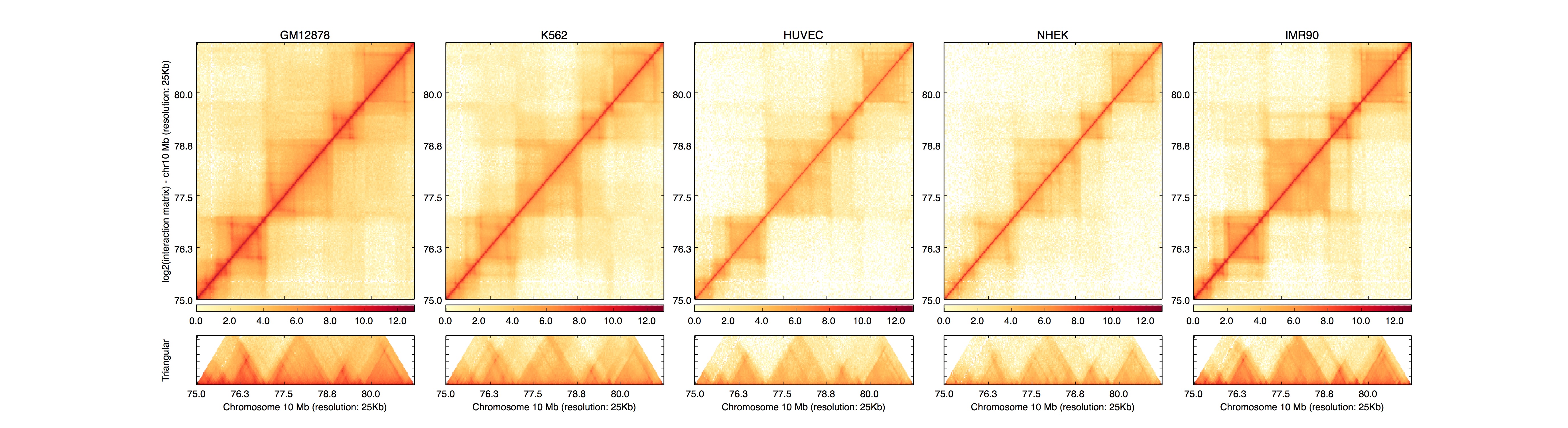 Example plot from HiCPlotter