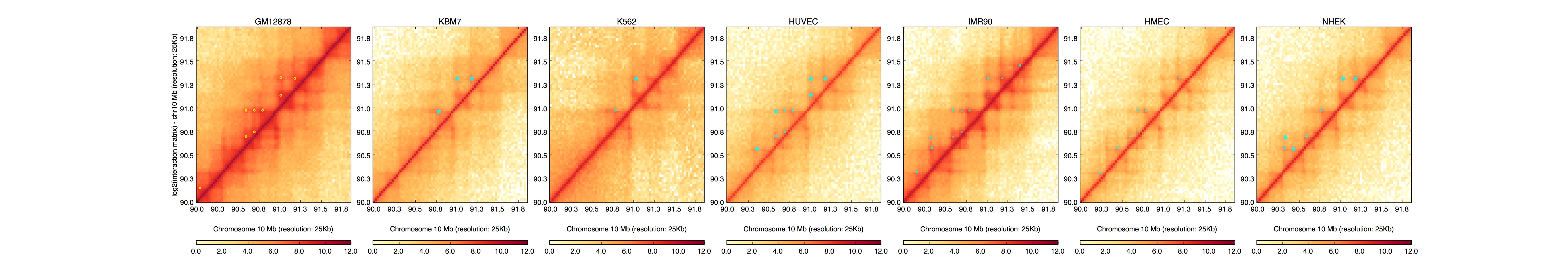 Example plot from HiCPlotter