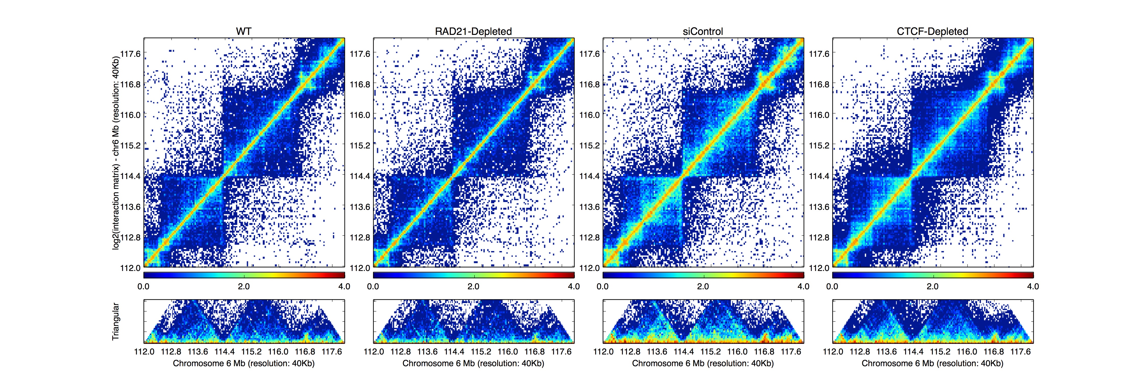 Example plot from HiCPlotter