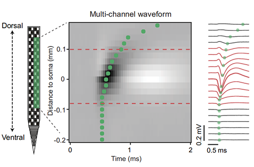 2D waveform