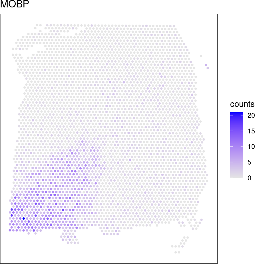 Spatial expression plot of top-ranked SVG