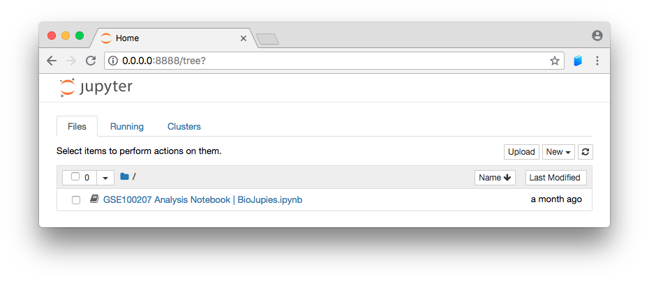 Screenshot of the a local Jupyter Server.