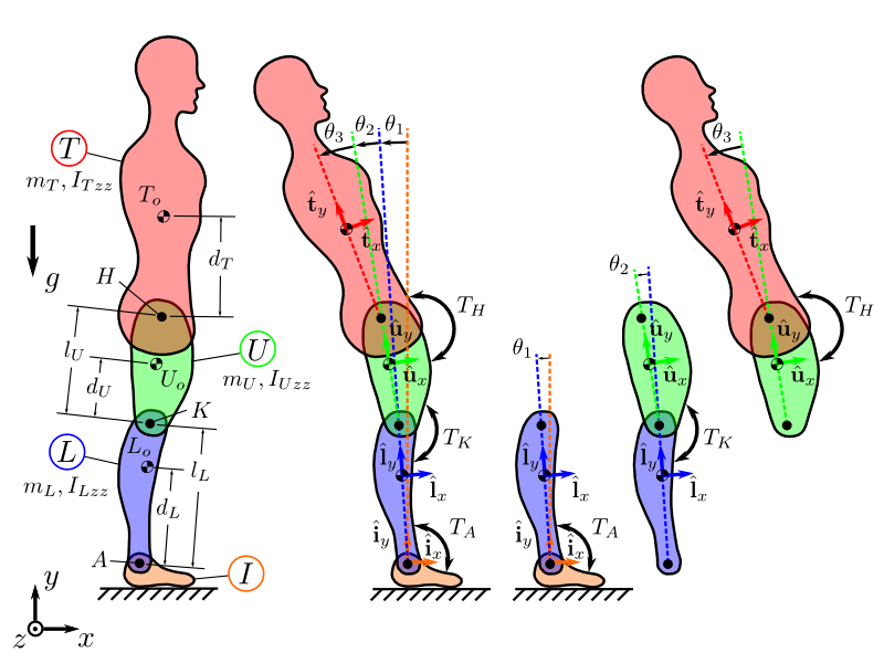 notebooks/figures/human_balance_diagram.png