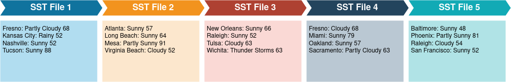 SST Level 0