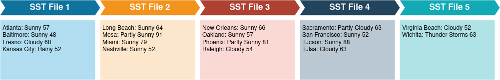 SST Level 1