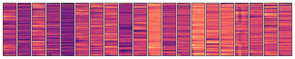 Filters learned by the first layer