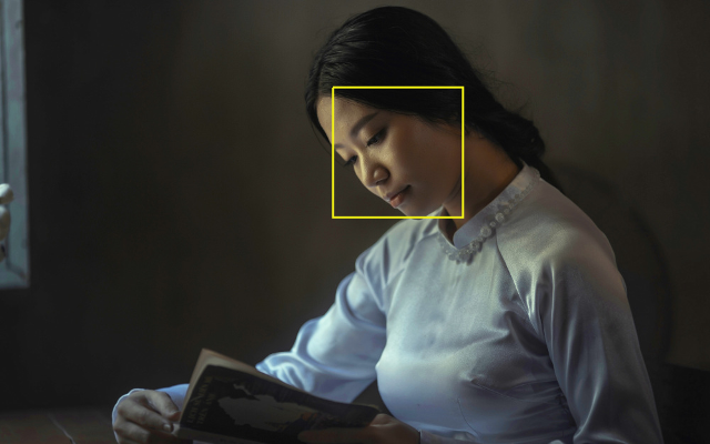 Demonstration of face detection