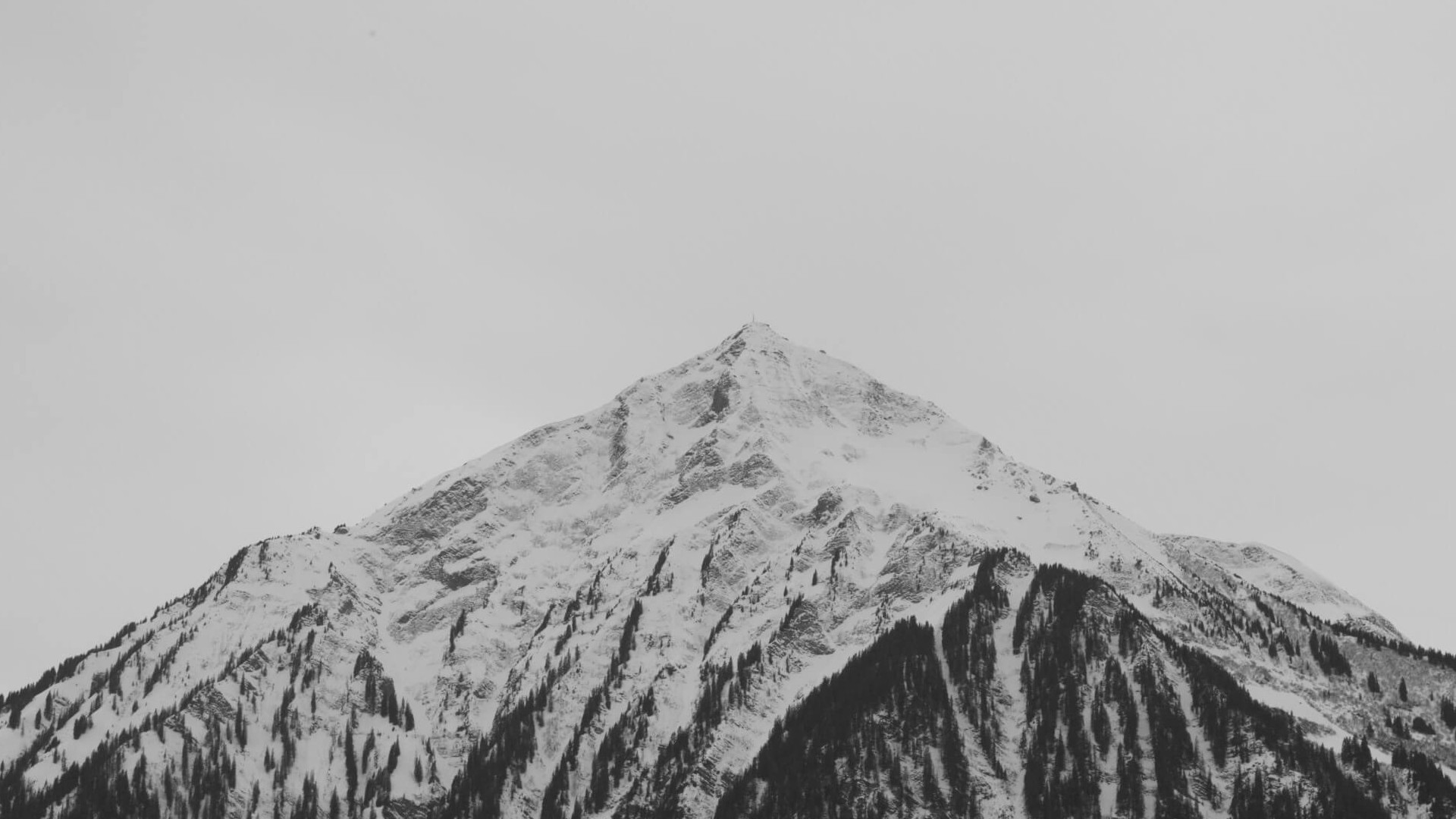 a_mountain_with_snow_and_trees