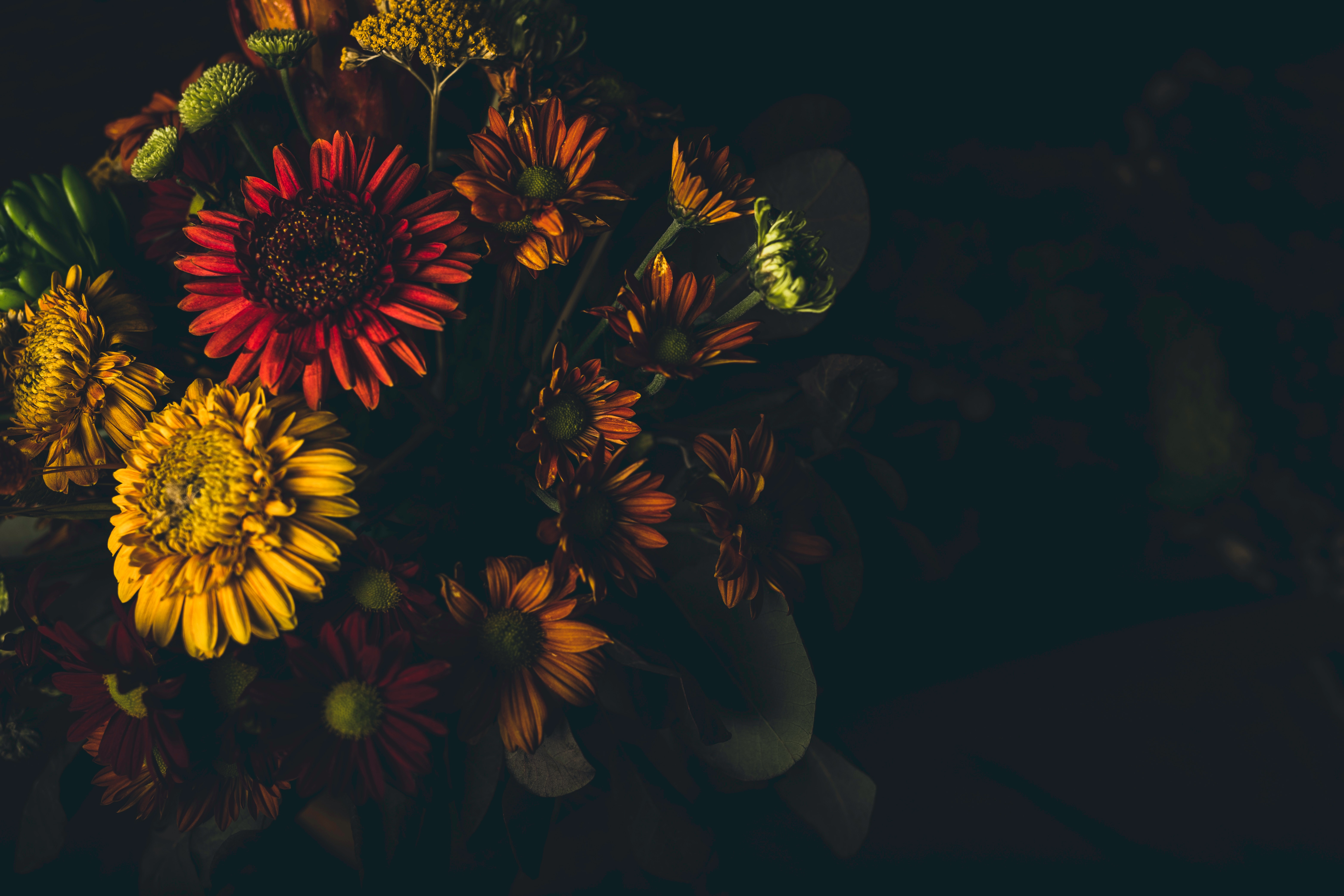 a_bouquet_of_flowers_in_a_dark_room