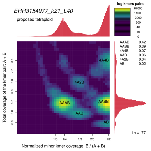 ERR3154977_k21_L40_smudgeplot_smudgeplot_log10.png