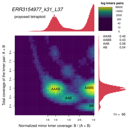 ERR3154977_k31_L37_smudgeplot_smudgeplot_log10.png