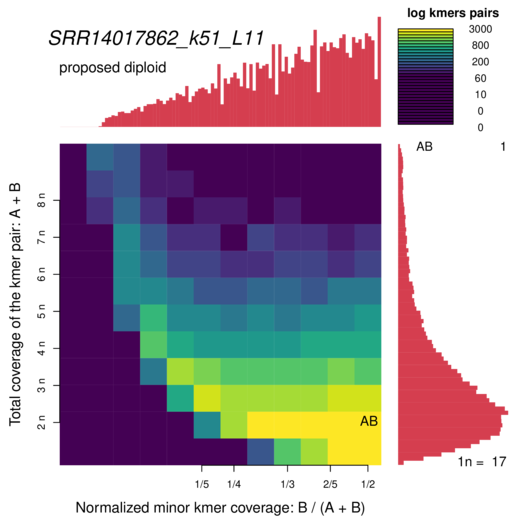 SRR14017862_k51_L11_smudgeplot_smudgeplot_log10.png