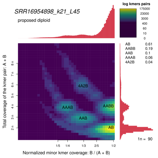 SRR16954898_k21_L45_smudgeplot_smudgeplot_log10.png