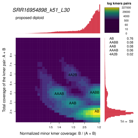 SRR16954898_k51_L30_smudgeplot_smudgeplot_log10.png