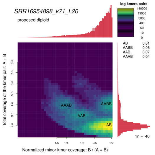 SRR16954898_k71_L20_smudgeplot_smudgeplot_log10.png