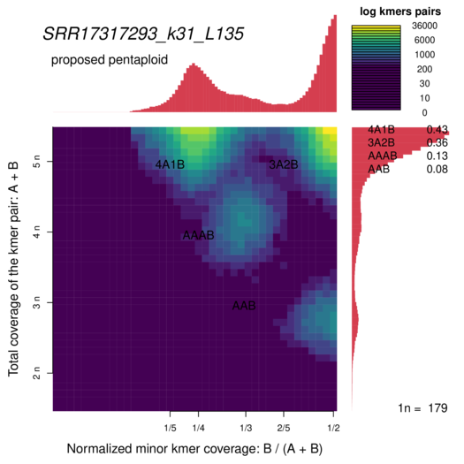 SRR17317293_k31_L135_smudgeplot_smudgeplot_log10.png