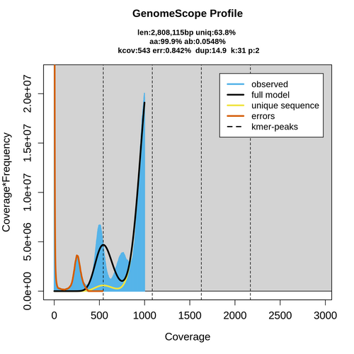 SRR17317293_k31_transformed_linear_plot.png