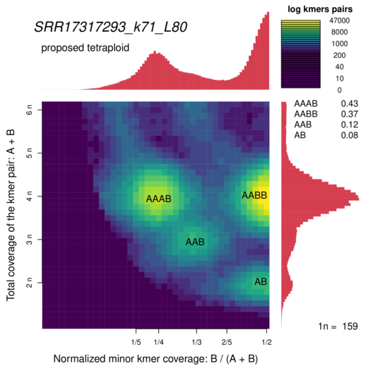 SRR17317293_k71_L80_smudgeplot_smudgeplot_log10.png