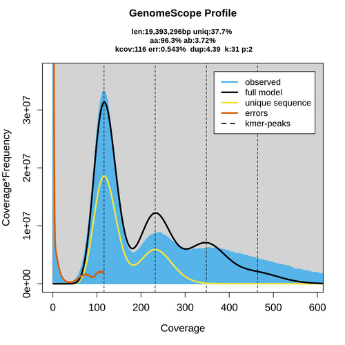 SRR926341_k31_transformed_linear_plot.png