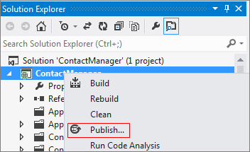 Publish in project context menu