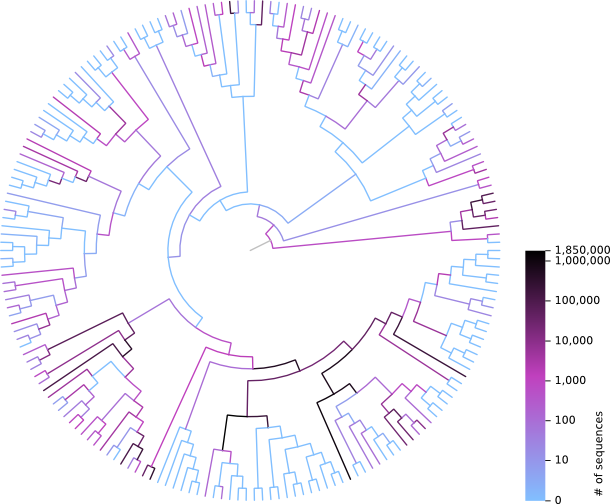 Phylogenetic tree with coloured branches.