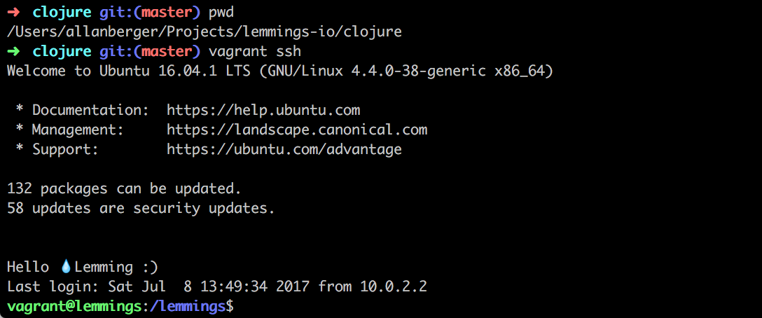 vagrant ssh