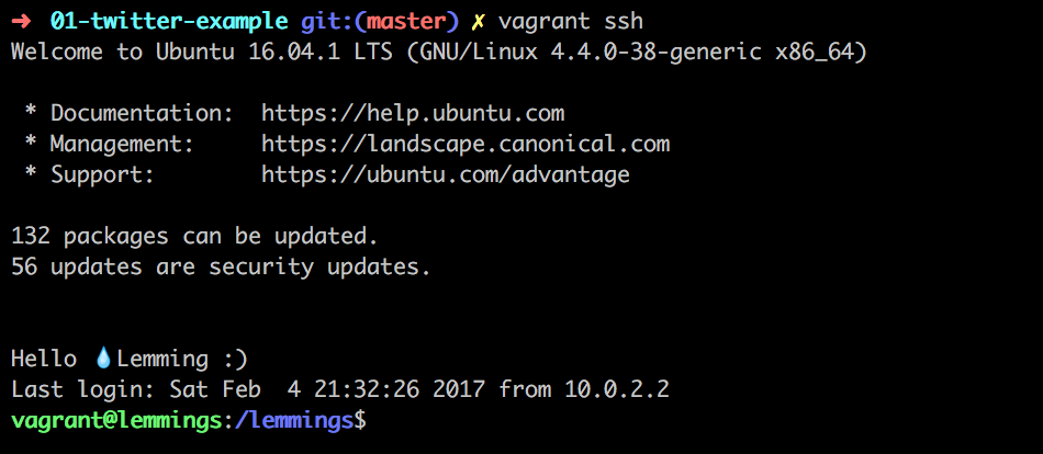 vagrant ssh