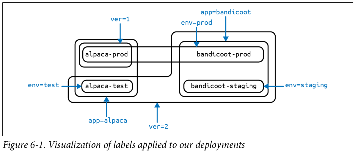 visulization of labels