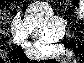 generated flower