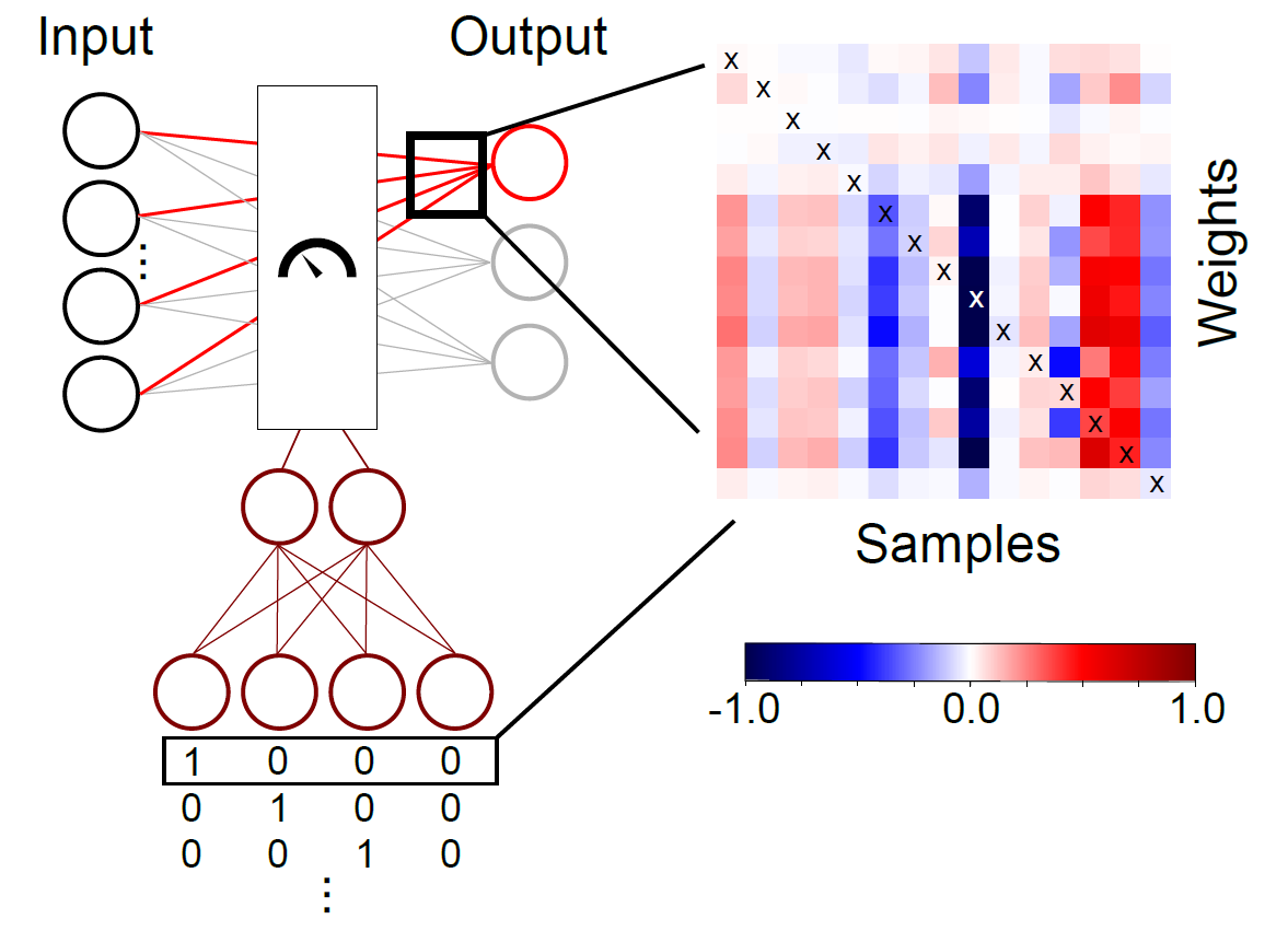 graphical abstract