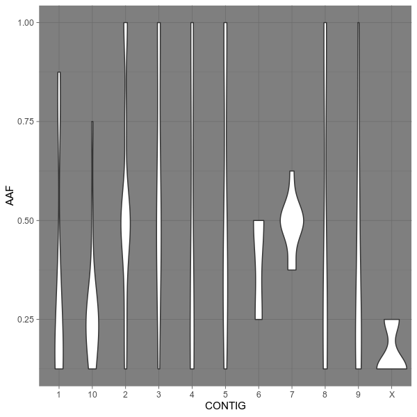 Allele frequency on each chromosome