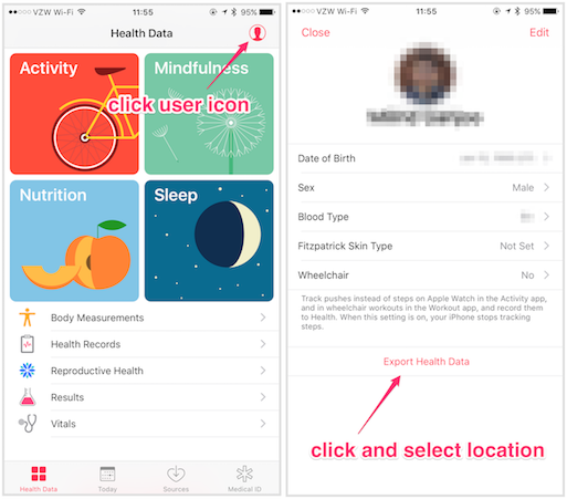 click on "user" icon and then on "export health data"