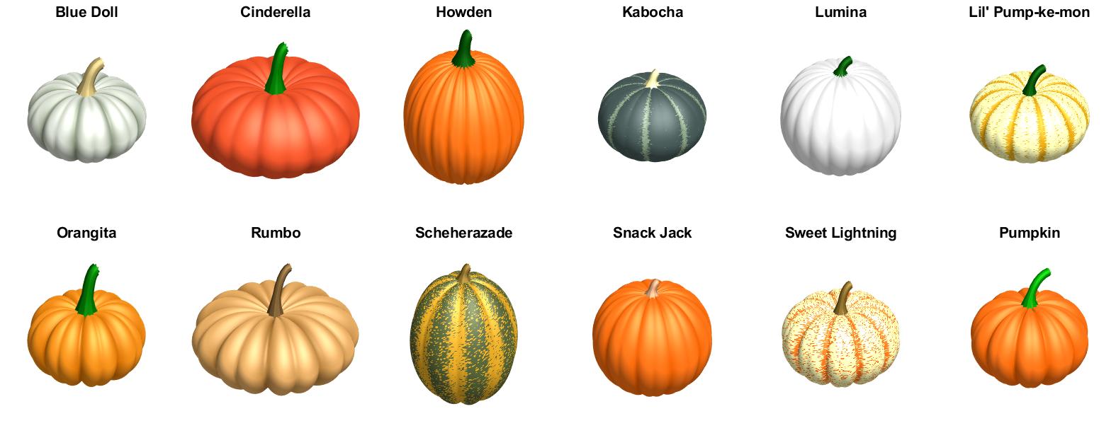 Example Punkin Breeds