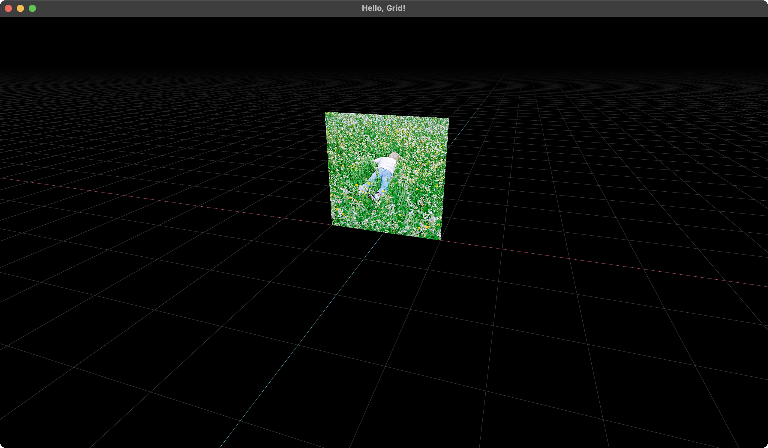 Screenshot of the application running on macOS. It is showing an image on a 2D grid on a 3D plane.