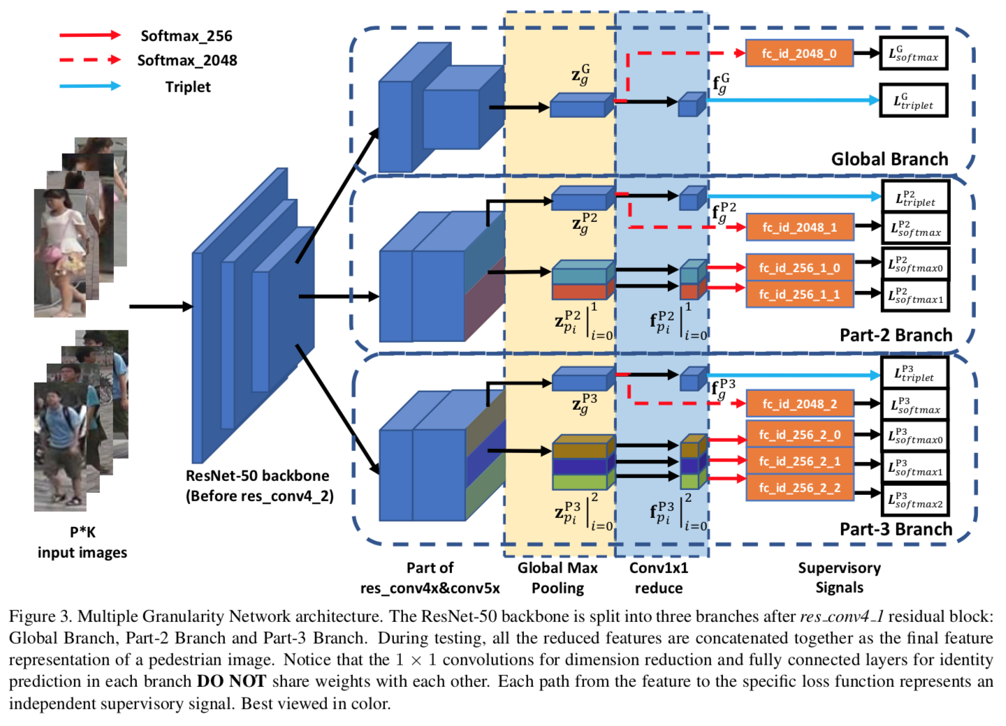 Multiple Granularity Network