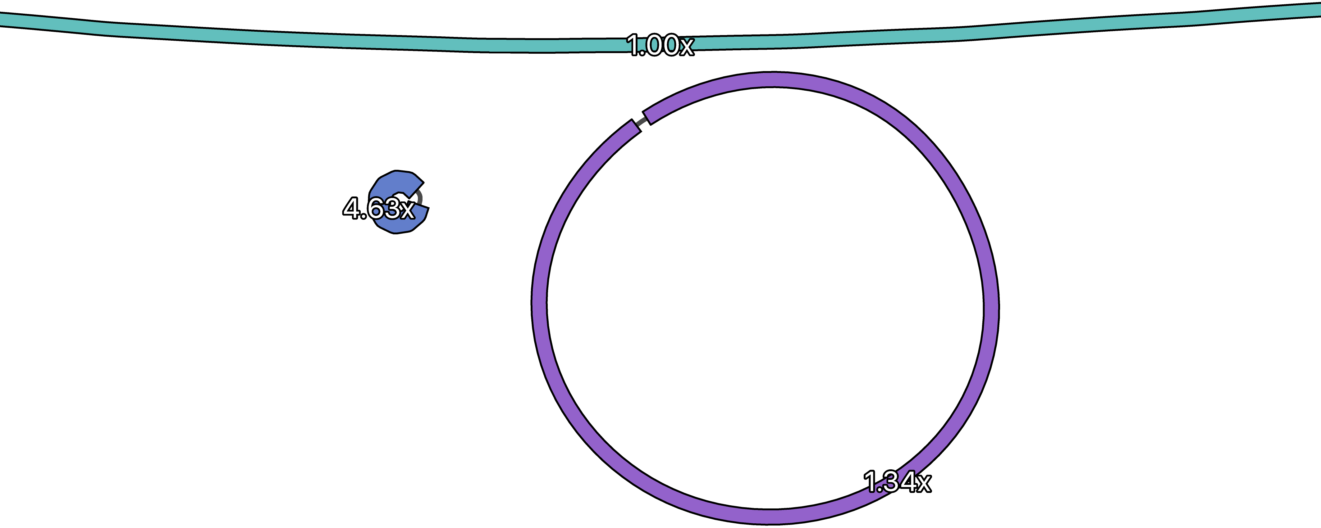 Plasmid depths