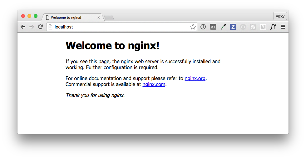 nginx home page