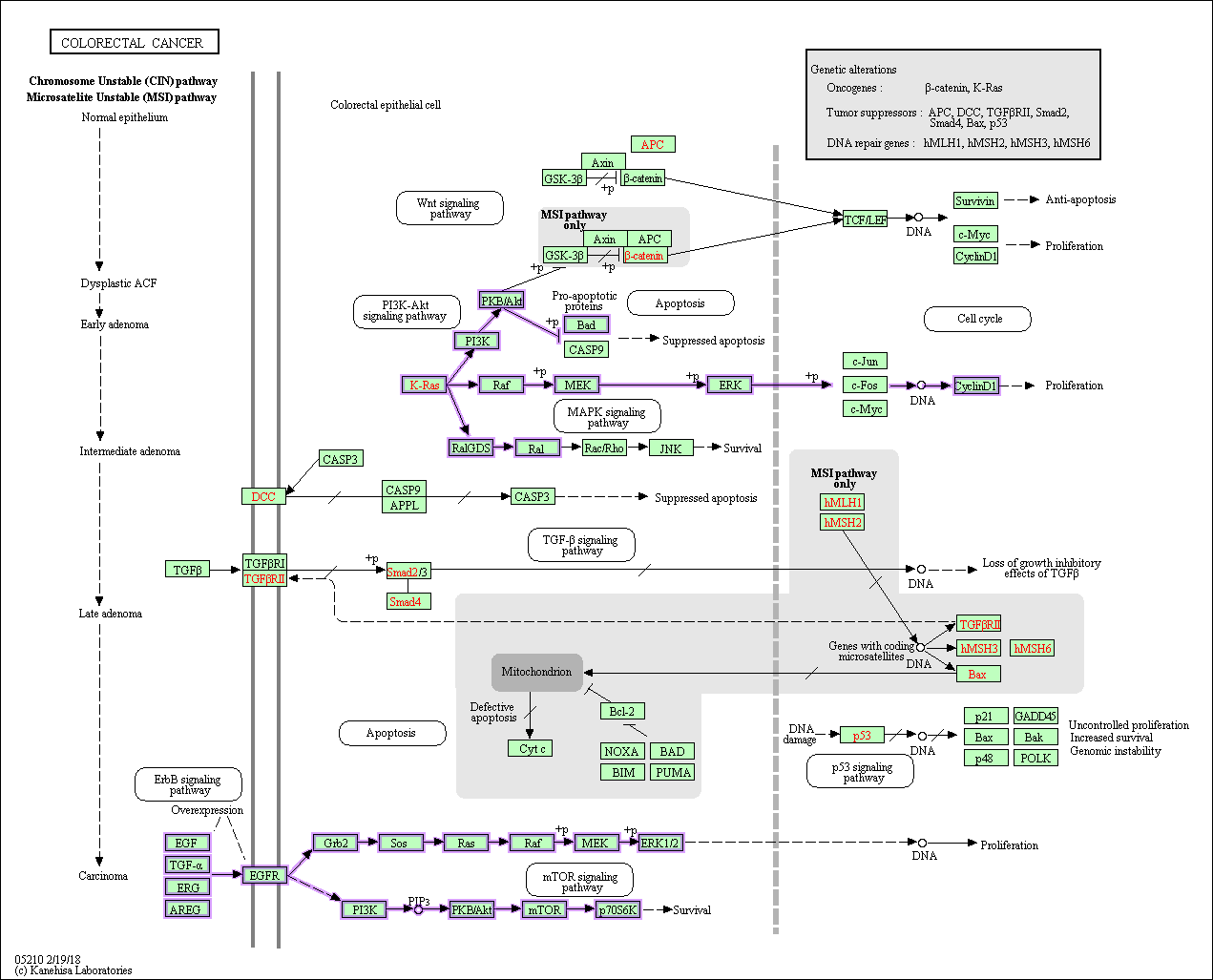 overexpression_targets