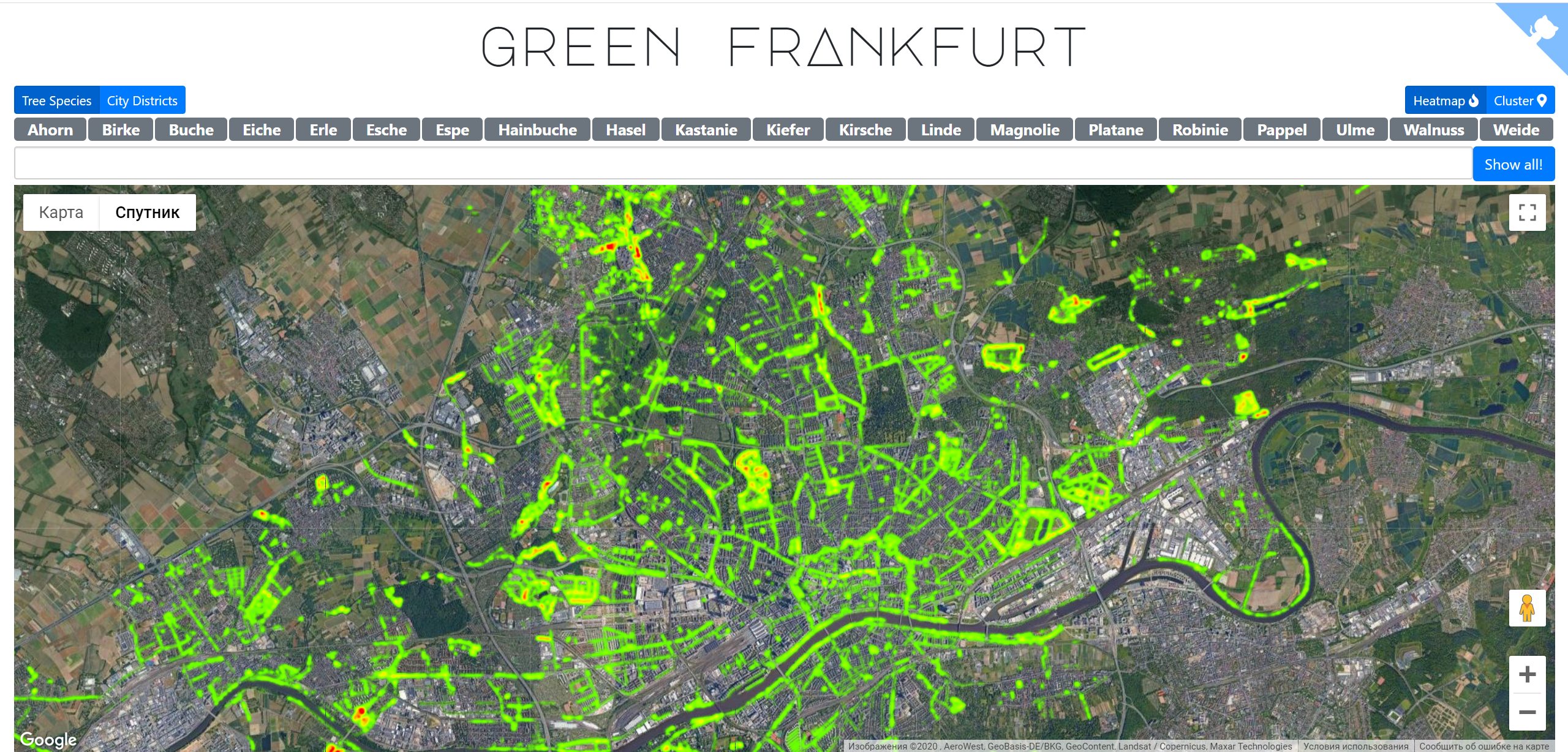 Trees in Frankfurt Innenstadt