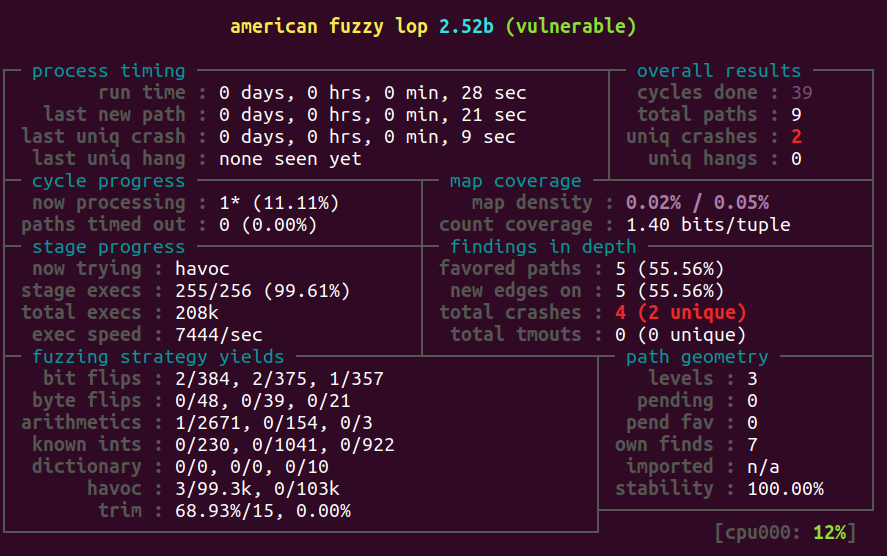 fuzzing session