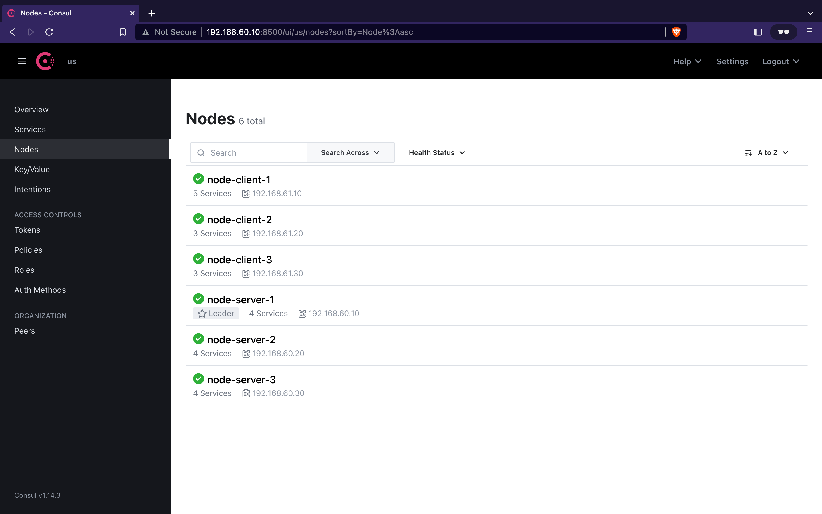 Consul Nodes