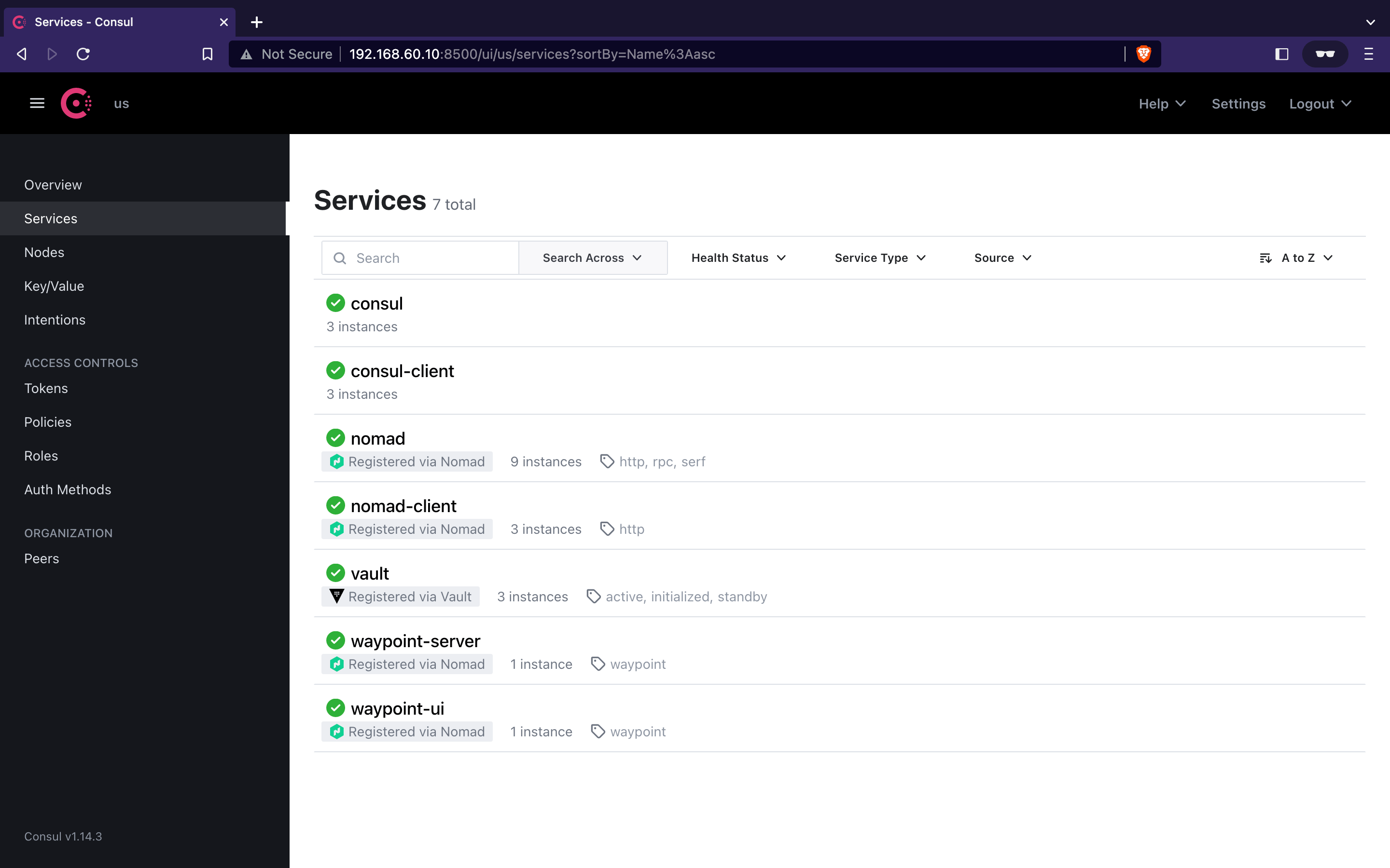 Consul Services