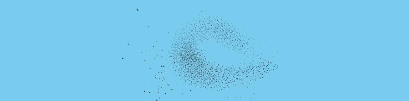 Flocking Simulation