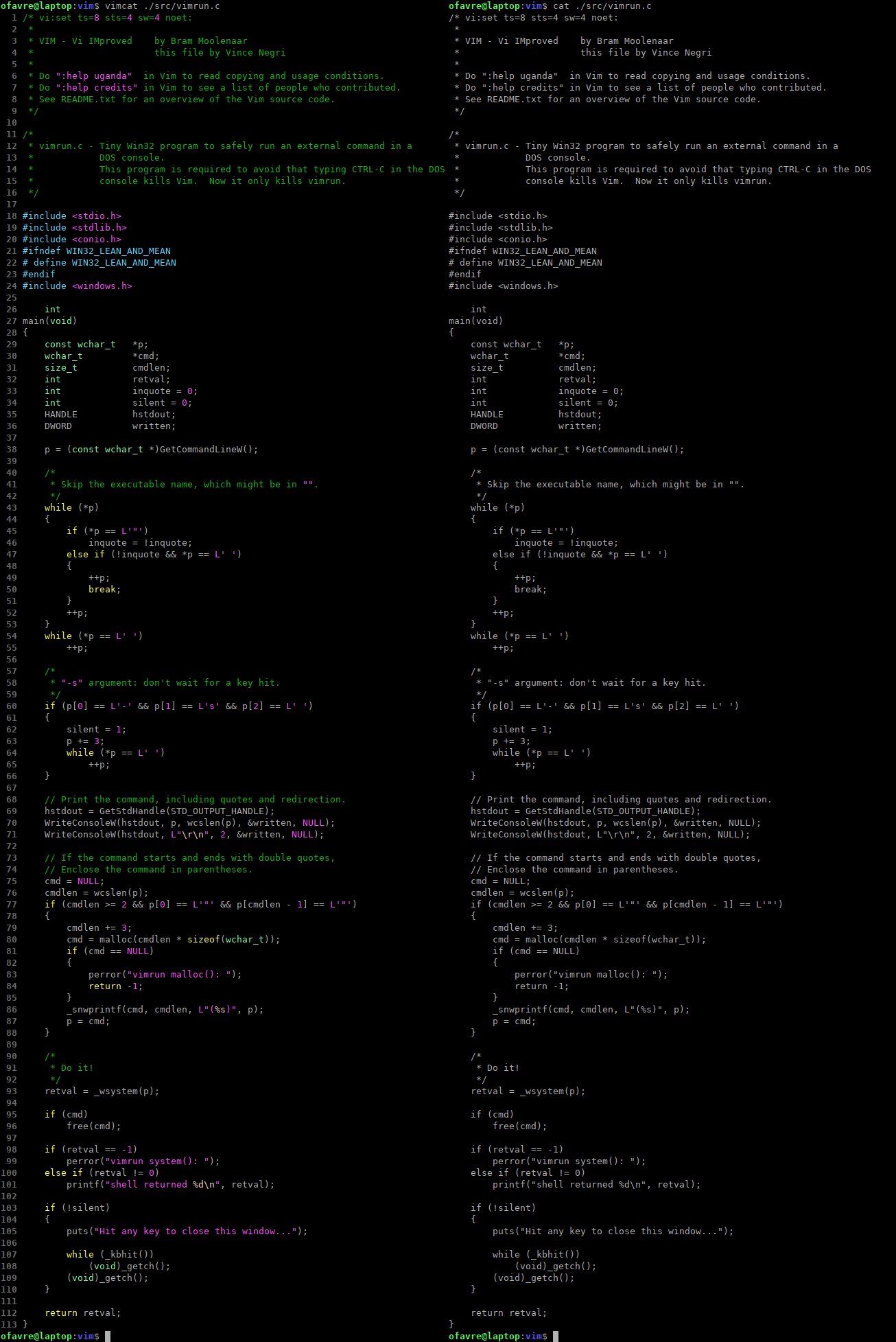 Screenshot of a side by side comparison of vimcat on the left and cat on the right