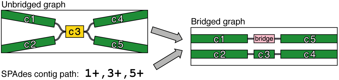 Short read bridging