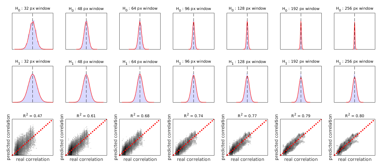 Example camera model visualization